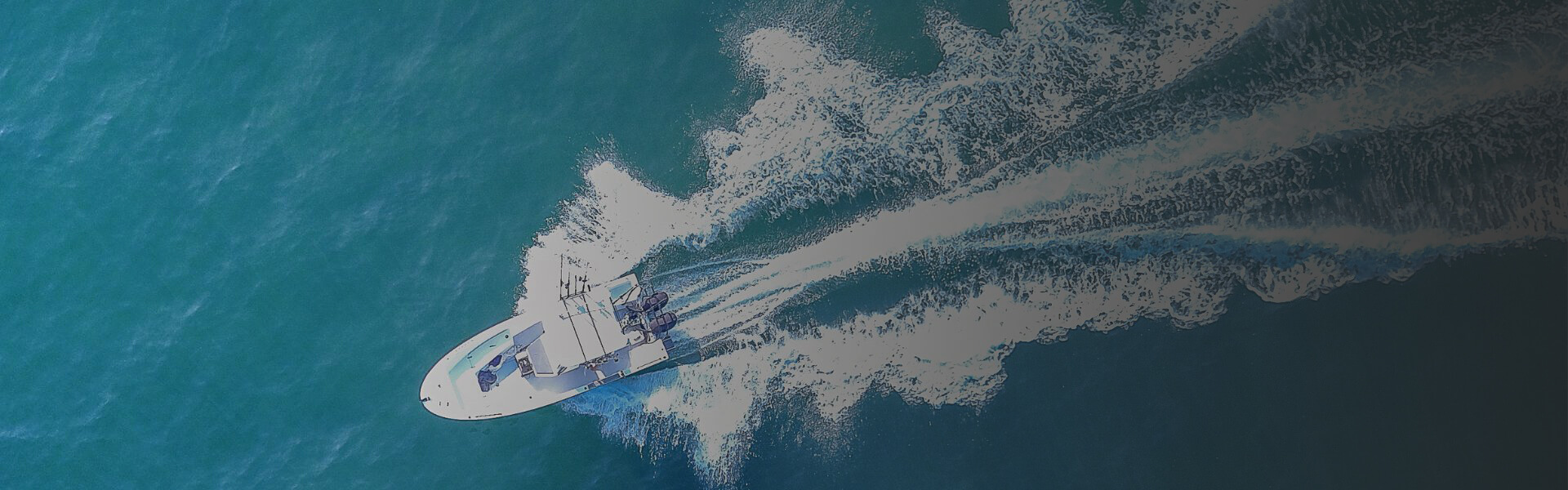 tours cruises  around   boats